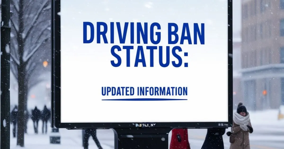 buffalo ny driving ban